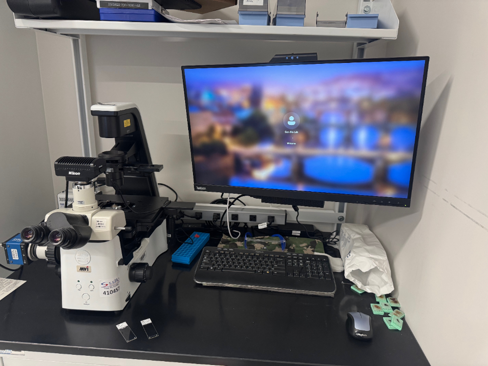 Image of Nikon Eclipse Ts2R Inverted Fluorescence Microscope